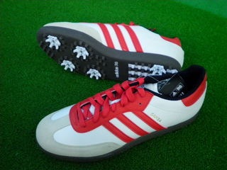 http://www.golfpartner.co.jp/965/SANY0001samba.JPG