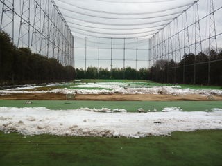 http://www.golfpartner.co.jp/971r/P1250829.JPG