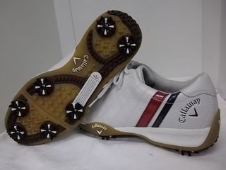http://www.golfpartner.co.jp/974r/CW02102.jpg