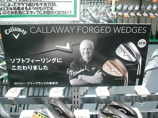 http://www.golfpartner.co.jp/979/%E9%9D%B4%20001.jpg