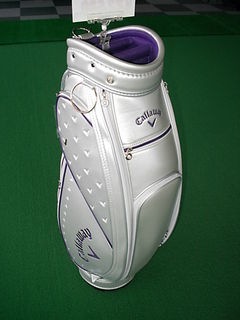 http://www.golfpartner.co.jp/983r/CW%E2%91%A4PU.JPG