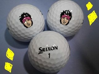 http://www.golfpartner.co.jp/983r/RYOU3.JPG