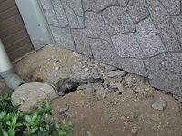 地震影響.JPG