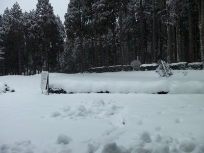 http://www.golfpartner.co.jp/984r/000_1102%5B1%5D.jpg