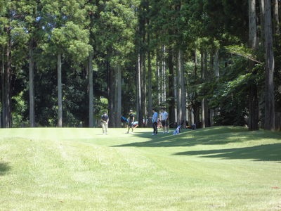 http://www.golfpartner.co.jp/984r/CIMG1929.JPG