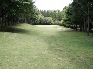 http://www.golfpartner.co.jp/984r/DSCI0003.JPG