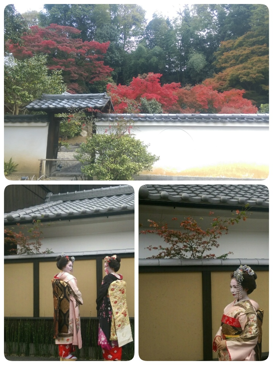 http://www.golfpartner.co.jp/988/2014-11-23-09-30-31_deco.jpg