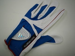 http://www.golfpartner.co.jp/989/%E3%82%B0%E3%83%AD%E3%83%BC%E3%83%96%20001.jpg