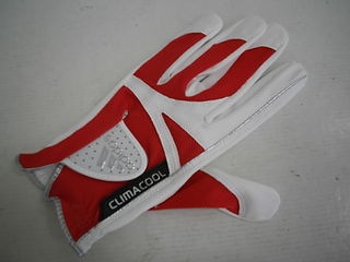 http://www.golfpartner.co.jp/989/%E3%82%B0%E3%83%AD%E3%83%BC%E3%83%96.jpg
