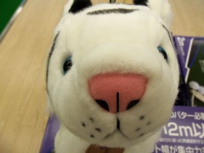 http://www.golfpartner.co.jp/989/50%20004.jpg