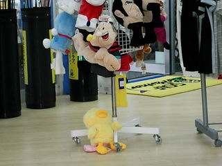 http://www.golfpartner.co.jp/991/6%20003.jpg
