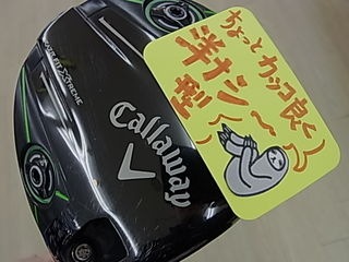 http://www.golfpartner.co.jp/991/RIMG33220006.JPG