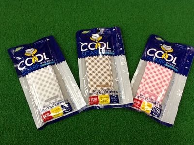 http://www.golfpartner.co.jp/997/%E5%A4%8F%E5%AF%BE%E7%AD%96%20007.jpg
