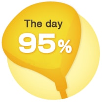 The day 95%