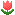 �`���[���b�v