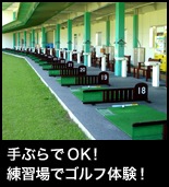 ��Ԃ��OK! ���K��ŃS���t�̌��I
