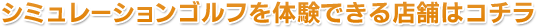 �V�~�����[�V�����S���t��̌��ł���X�܂̓R�`��