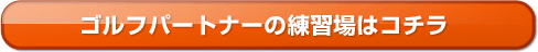 �S���t �p�[�g�i�[�̗��K��̓R�`��
