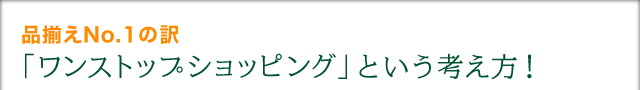 �i����No.1�̖� �u�����X�g�b�v�V���b�s���O�v�Ƃ����l�����I