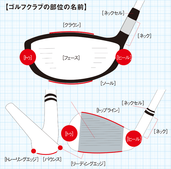 ヘッド