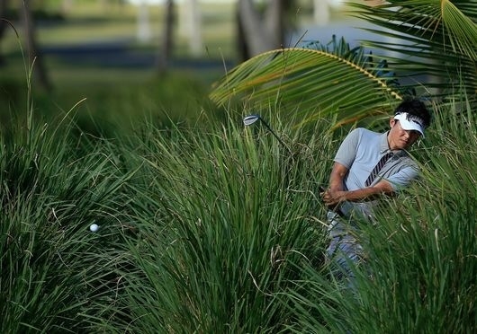 このブッシュから左打ちで脱出!この粘りも今田の持ち味(Photo by Michael CohenGetty Images)