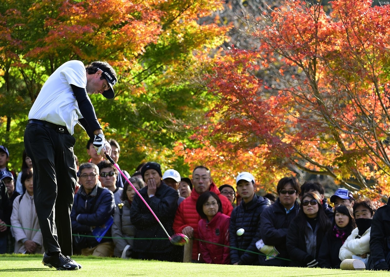 日本のファンに強烈なインパクトを残し大会を終えたB・ワトソン（撮影：上山敬太）