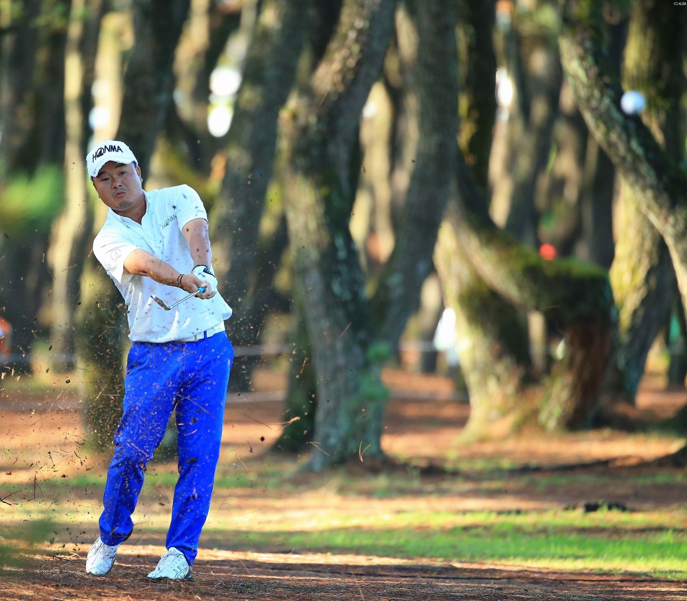 賞金王へ向け有言実行!小田孔明、5位Tで最終日へ(撮影:米山聡明)
