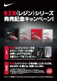 レジンシリーズは早期購入がお得!