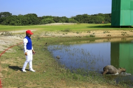 野村、カピバラと触れ合おうとするも逃げられてしまった(撮影:福田文平)
