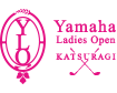 cmn_logo.png