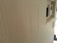 20170412_133556.jpg