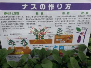 20170509_171938.jpg