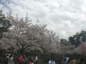 IMG_0070.JPG