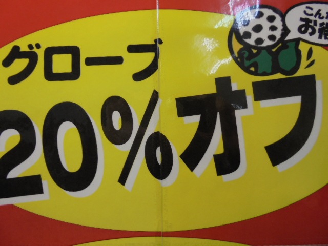 DSC00508.JPG