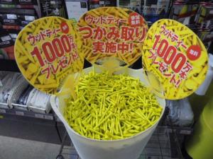 ウッドティー　無料　プレゼント！！
