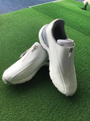コードカオスのホワイトシルバー入荷