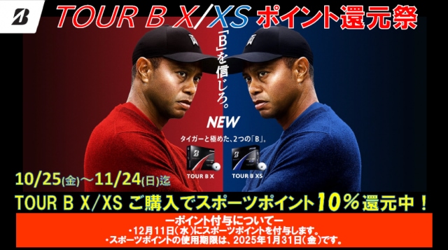 スクリーンショット 2024-10-25 162120.png