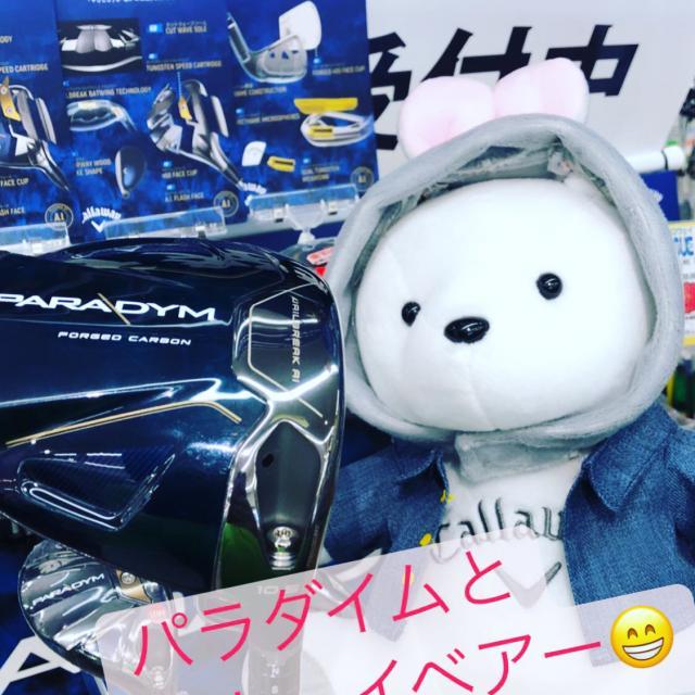 パラダイムとキャロウェイベアー