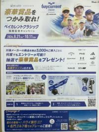 IMG_7129.jpeg
