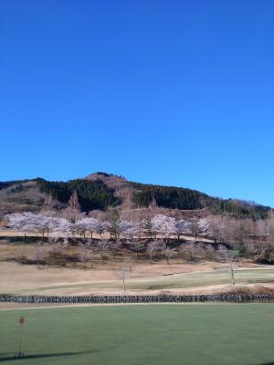 A2E9B828-0E2C-494D-AD4E-FFB25F7B5E38.jpegのサムネイル画像