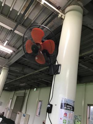 IMG_4781.jpeg