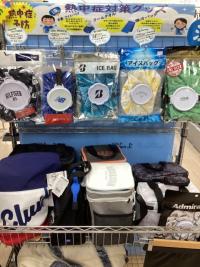 IMG_0482.jpeg
