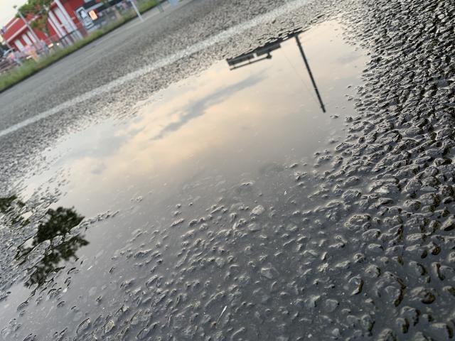 風邪ひきました（泣）