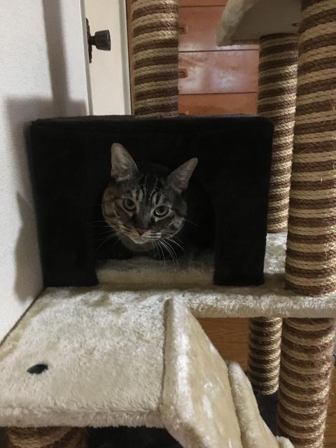 これは・・・