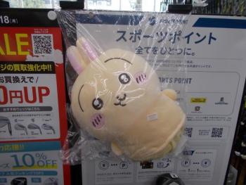 DSCN1065.JPG