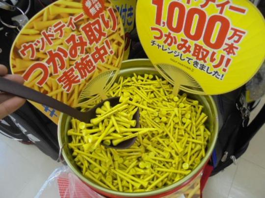 ウッドティ　プレゼント