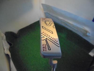 デシャンボーモデル。