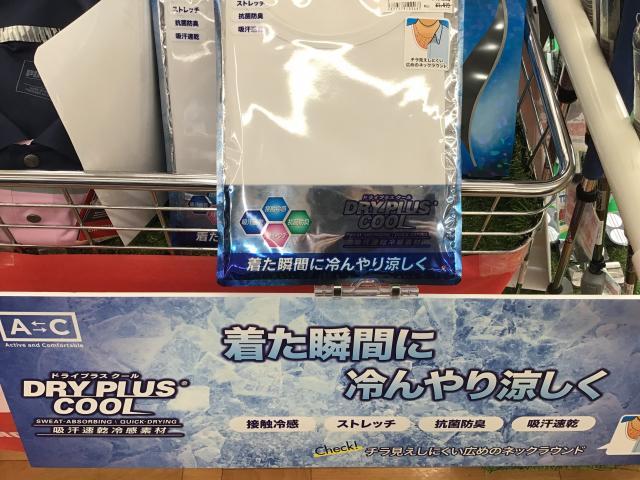 ひんやり体験