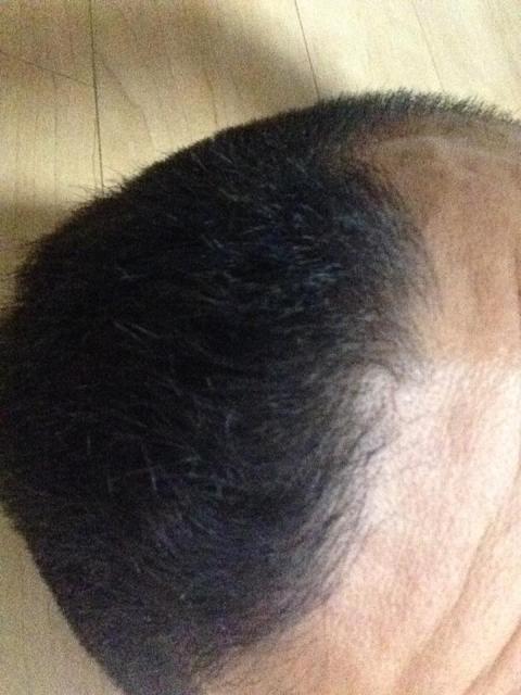 何でも自分でやりたがる！散髪までも！