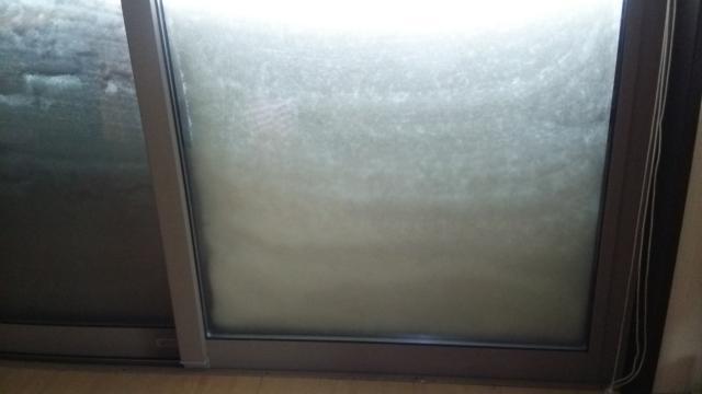かなりヘビーな雪！